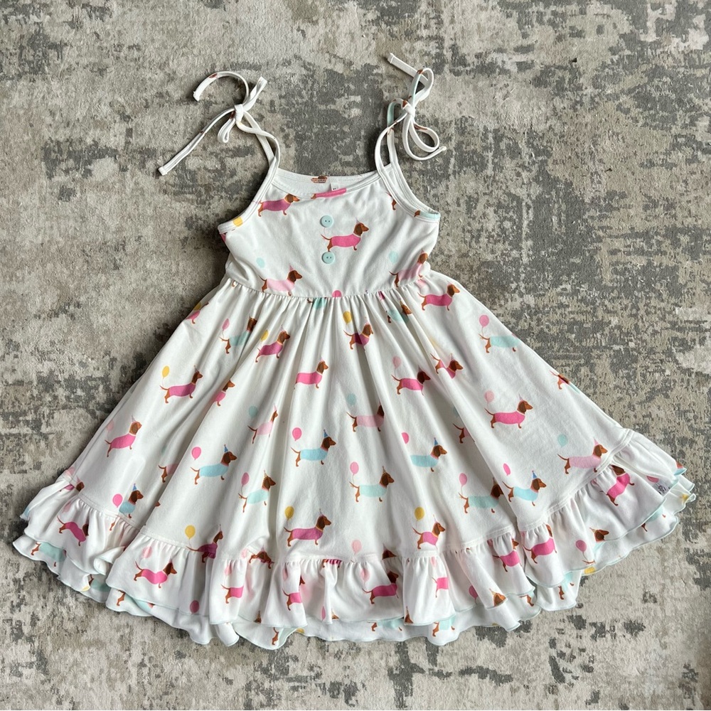 Jane + Jo Party Pups House Dress Size 6